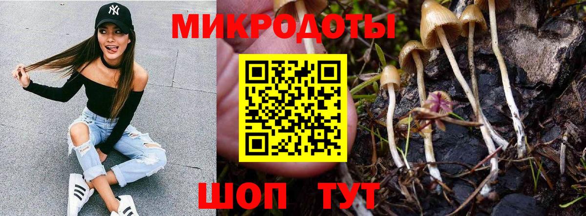 Псилоцибиновые грибы мицелий Джанкой